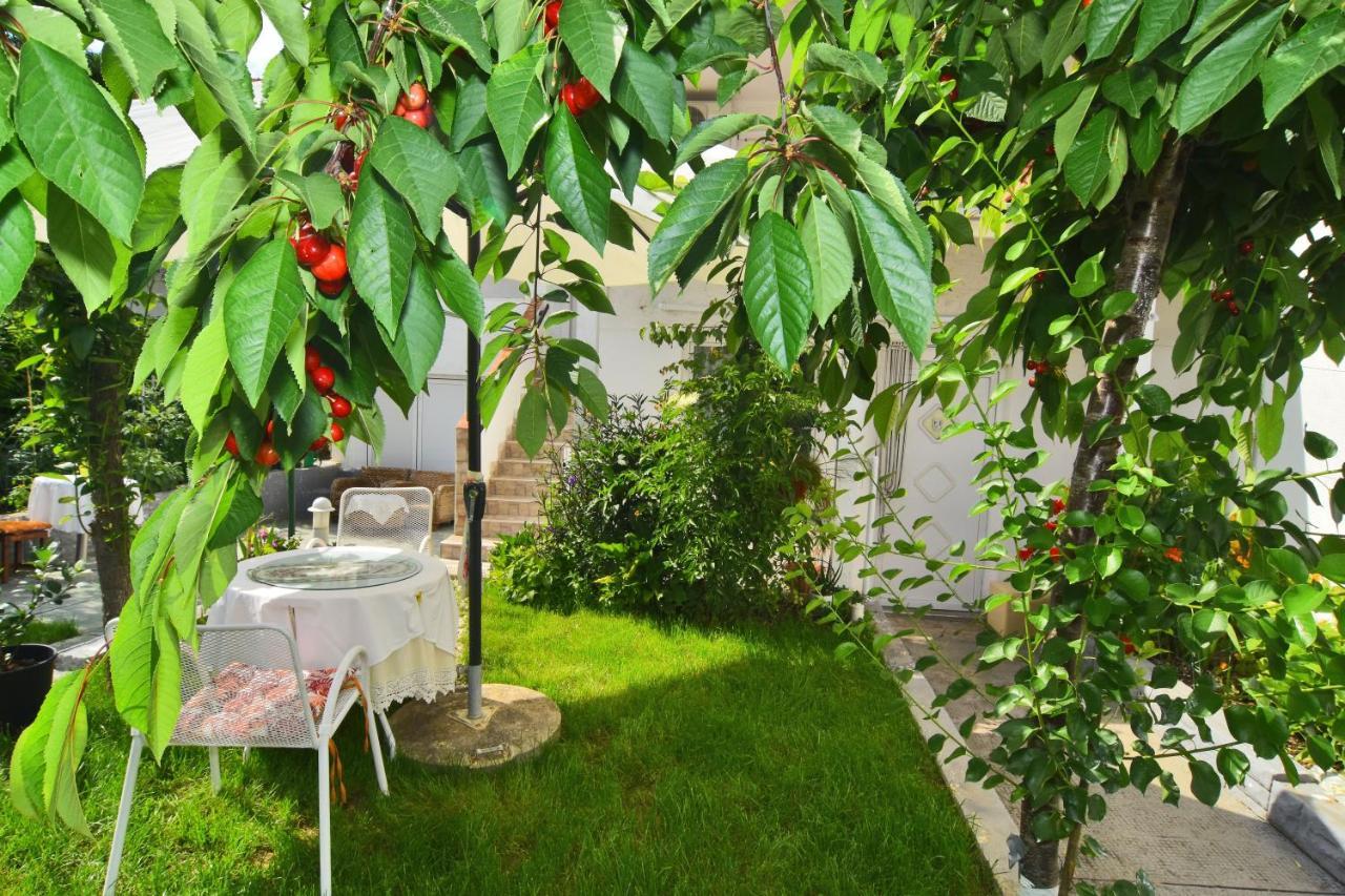 Apartments And Rooms Anika Ζαντάρ Εξωτερικό φωτογραφία